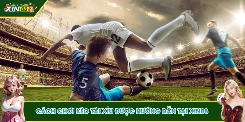 Cách chơi kèo Tài Xỉu được hướng dẫn tại XIN88