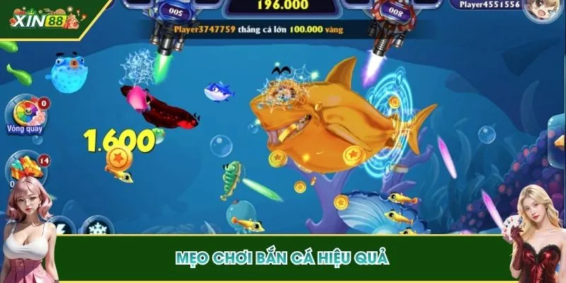 Mẹo săn bắt con mồi hiệu quả tại sảnh game FC