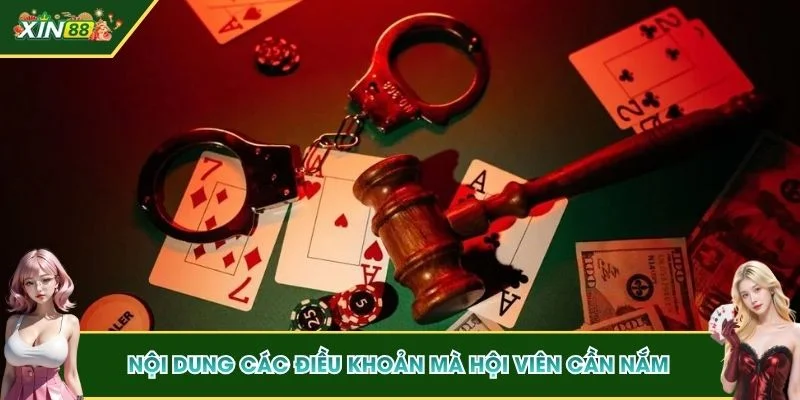 Nội dung các điều khoản mà hội viên cần nắm