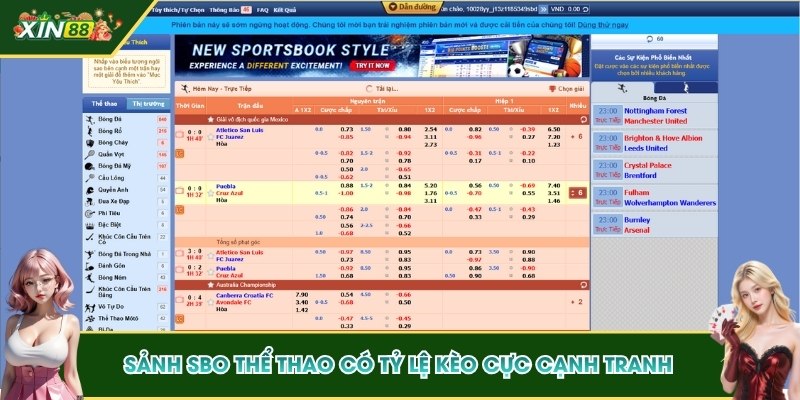SBO Thể Thao - Sảnh Giải Trí Online Uy Tín Tại XIN88 3 Sảnh SBO Thể thao có tỷ lệ kèo cực cạnh tranh