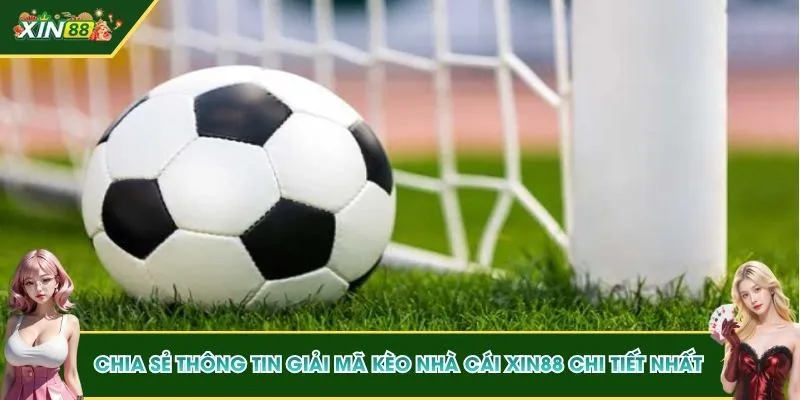 Chia sẻ thông tin giải mã kèo nhà cái XIN88 chi tiết nhất